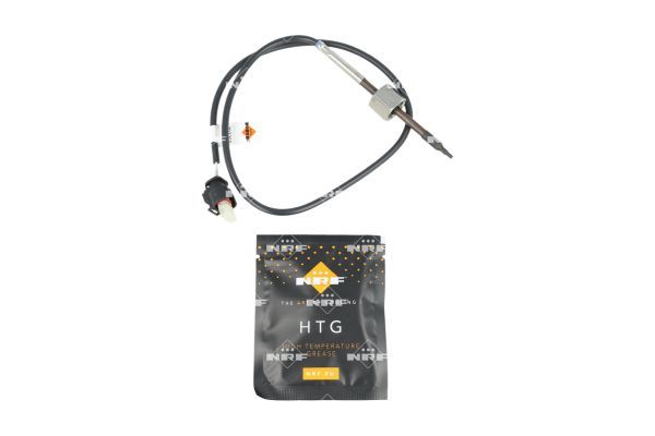 Sensor Abgastemperatur