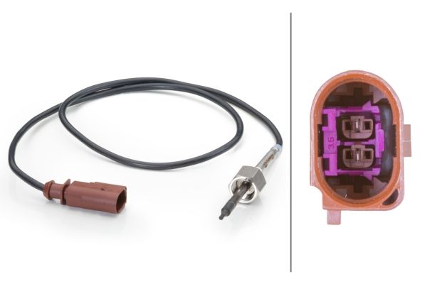 Sensor Abgastemperatur