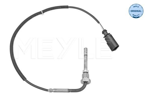 Sensor Abgastemperatur