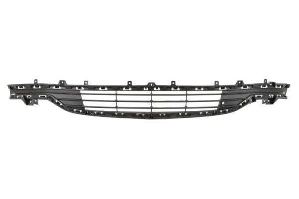 Stoßstange Gitter