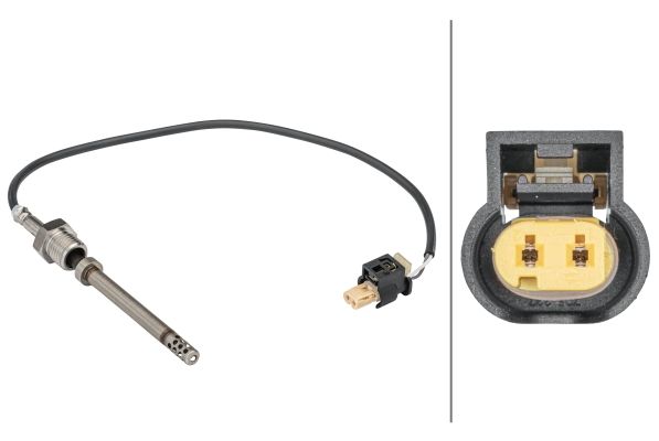 Sensor Abgastemperatur