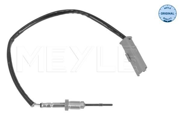 Sensor Abgastemperatur