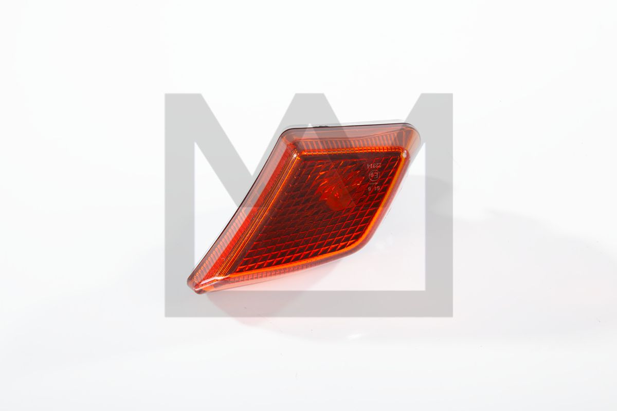 Blinker Blinkleuchte