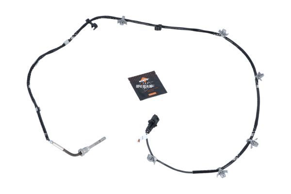 Sensor Abgastemperatur