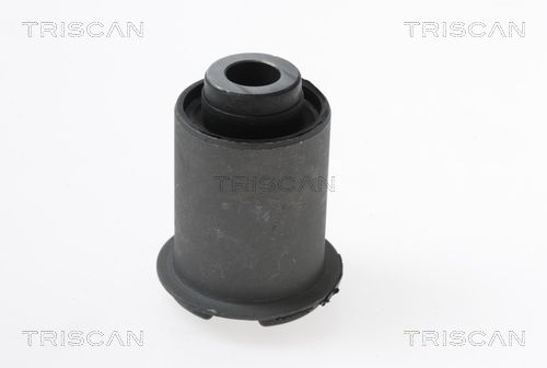 Querlenker Silentblock vorne