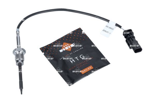 Sensor Abgastemperatur