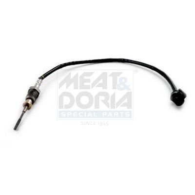 Sensor Abgastemperatur