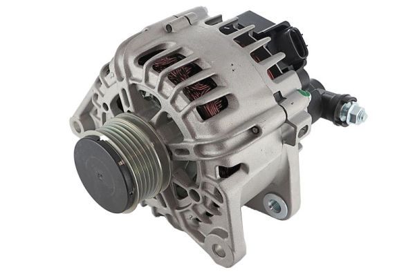 Lichtmaschine Generator