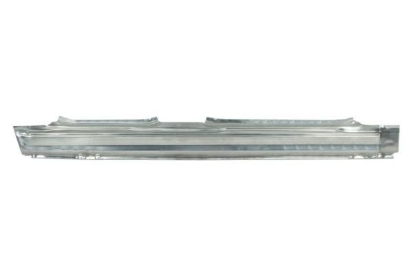 Einstiegsblech Schweller
