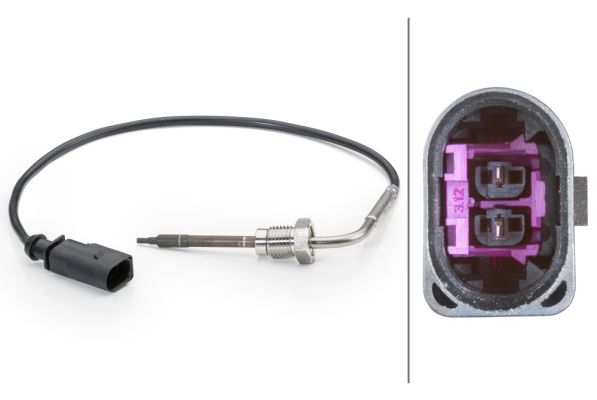 Sensor Abgastemperatur