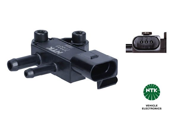 Abgasdrucksensor Differenzdruck