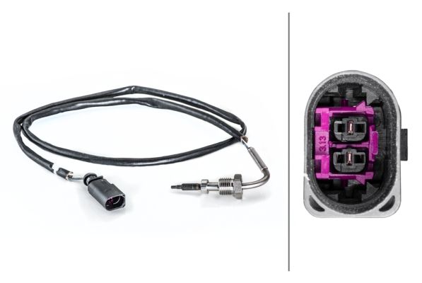Sensor Abgastemperatur