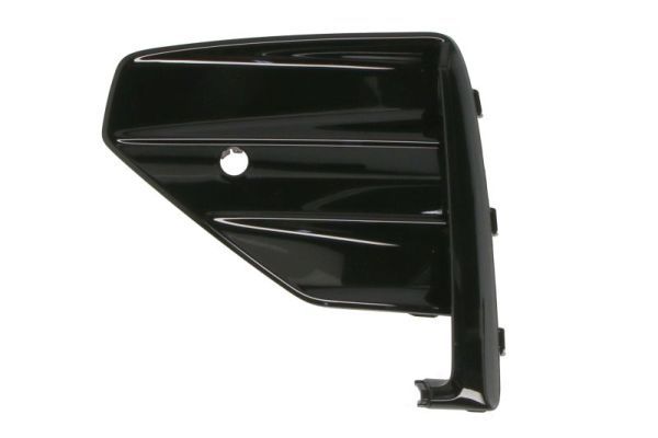 Stoßstange Gitter