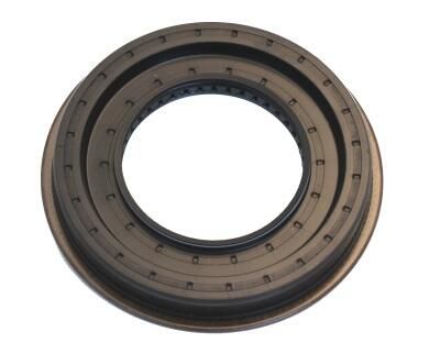 Wellen Dichtring Differential