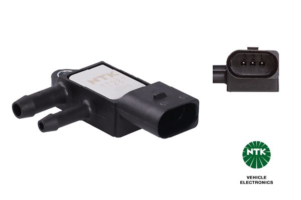 Abgasdrucksensor Differenzdruck