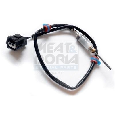 Sensor Abgastemperatur