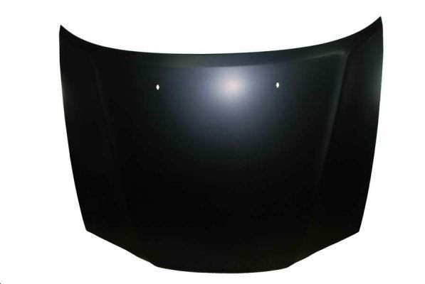 Motorhaube