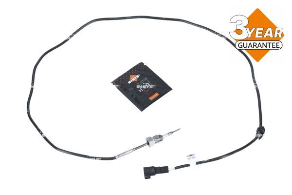 Sensor Abgastemperatur