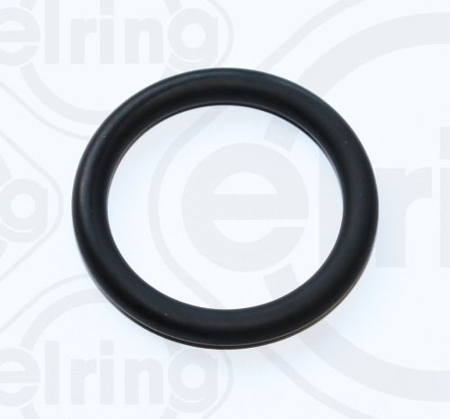 Dichtung Dichtring