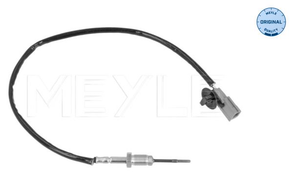 Sensor Abgastemperatur