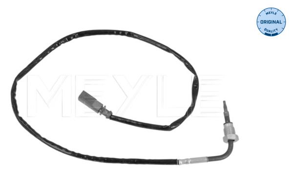 Sensor Abgastemperatur