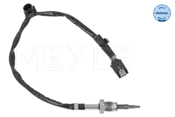Sensor Abgastemperatur