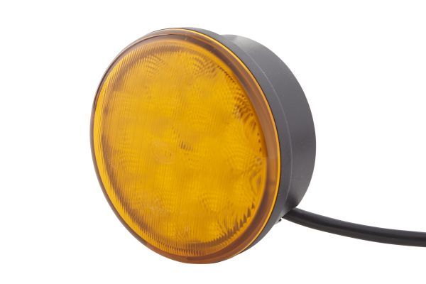 Blinker Blinkleuchte