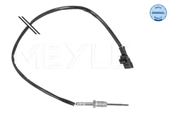 Sensor Abgastemperatur