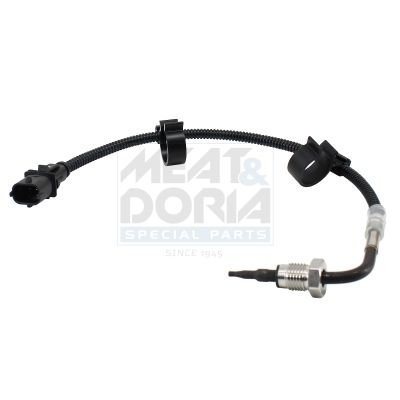 Sensor Abgastemperatur