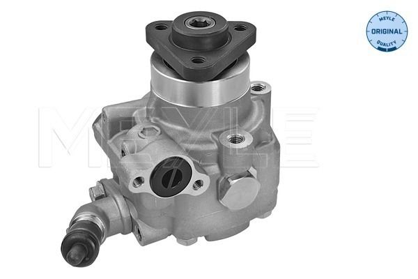 Hydraulikpumpe Lenkung Servopumpe Lenkhilfe