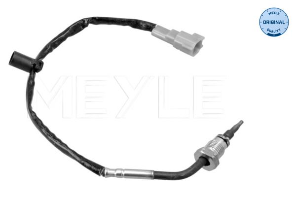 Sensor Abgastemperatur