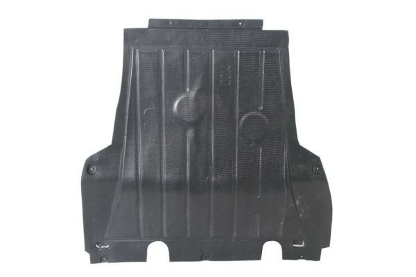 Unterfahrschutz Motorschutz