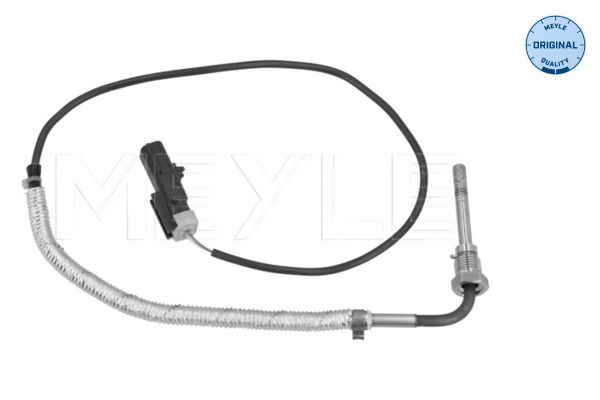 Sensor Abgastemperatur