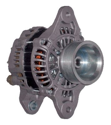 Lichtmaschine Generator