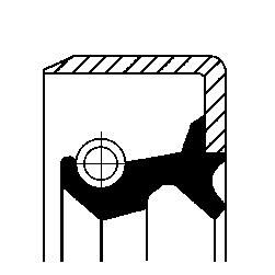 Wellen Dichtring Differential