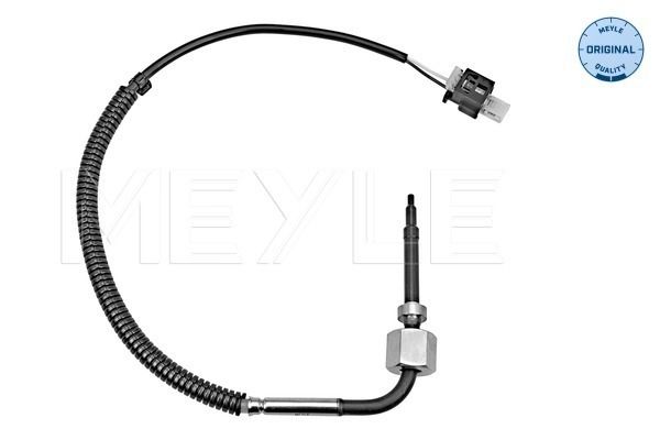 Sensor Abgastemperatur