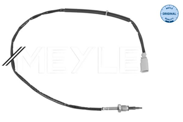 Sensor Abgastemperatur