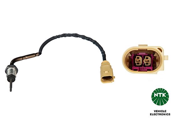 Sensor Abgastemperatur