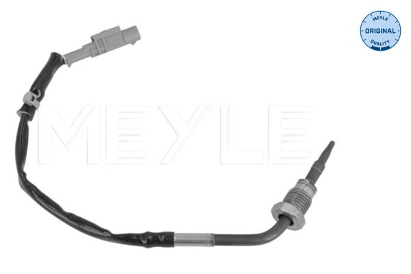 Sensor Abgastemperatur