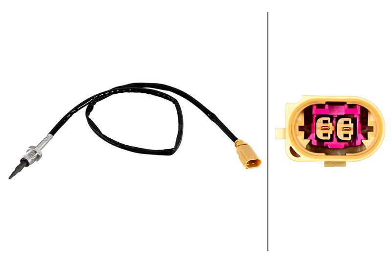 Sensor Abgastemperatur