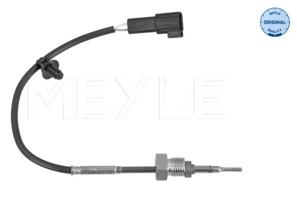 Sensor Abgastemperatur