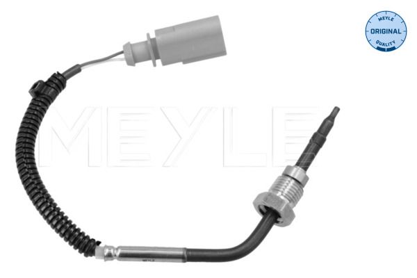 Sensor Abgastemperatur