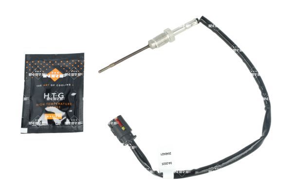 Sensor Abgastemperatur