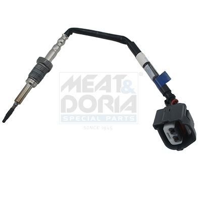 Sensor Abgastemperatur