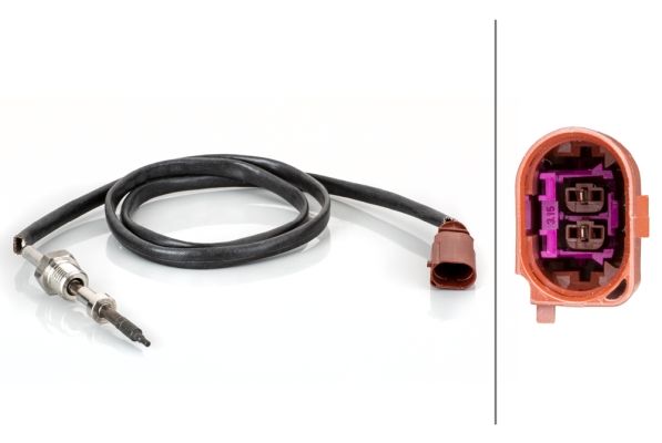 Sensor Abgastemperatur