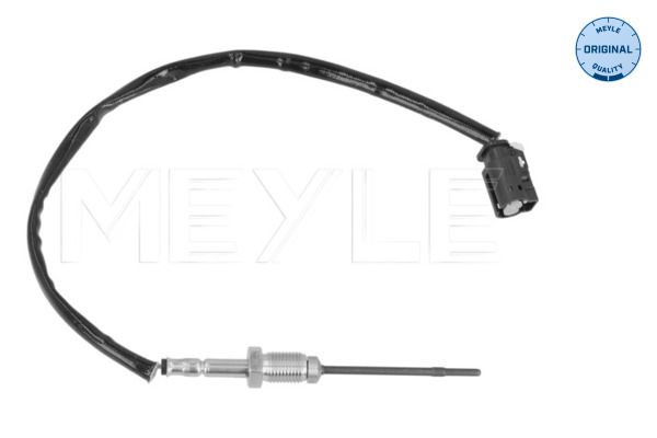 Sensor Abgastemperatur