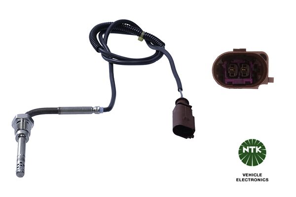 Sensor Abgastemperatur