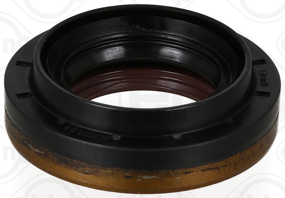 Wellen Dichtring Differential