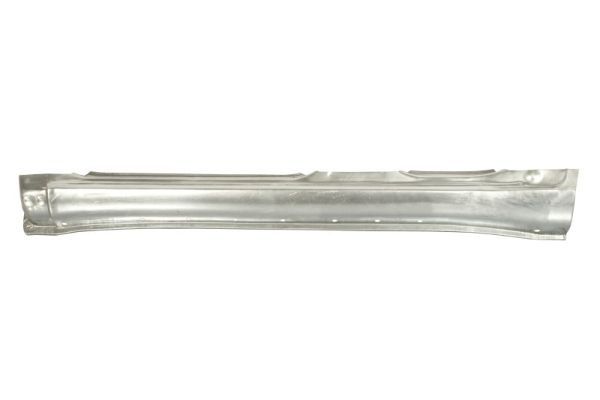 Einstiegsblech Schweller
