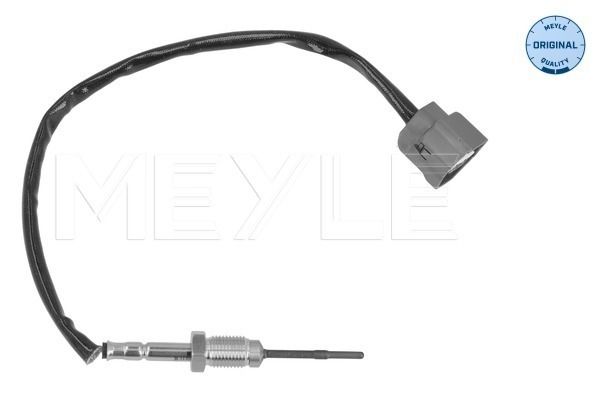 Sensor Abgastemperatur